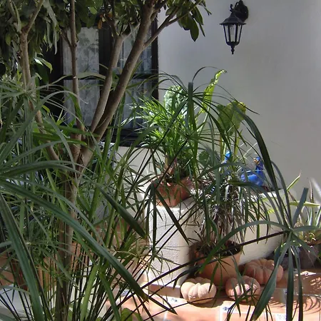 Appartamento Small 15m For Single Use With Sea View *