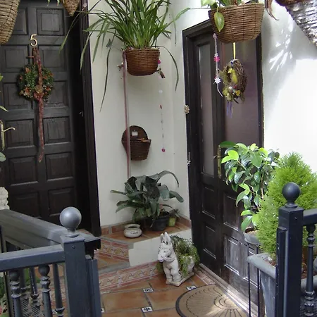Small 15m For Young People With Sea View Apartament Icod De Los Vinos