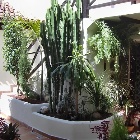 Apartament Small 15m For Young People With Sea View Icod De Los Vinos